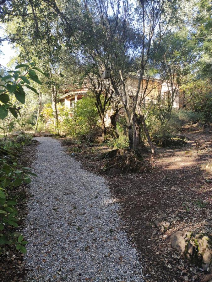 Casa La Indiana Villa Fuenteheridos Kültér fotó